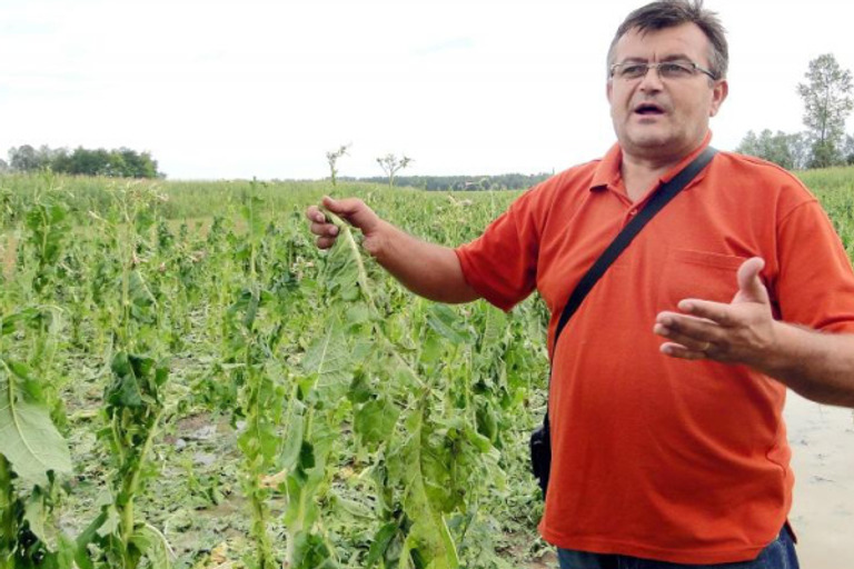 Hdz Ovac Osu En Jer Je Spa Avao Sina Lokalnog Mo Nika Tvrdio Je Da