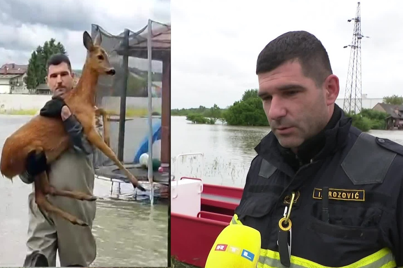 Našli smo karlovačkog vatrogasca koji je spasio srnu Davila se malo