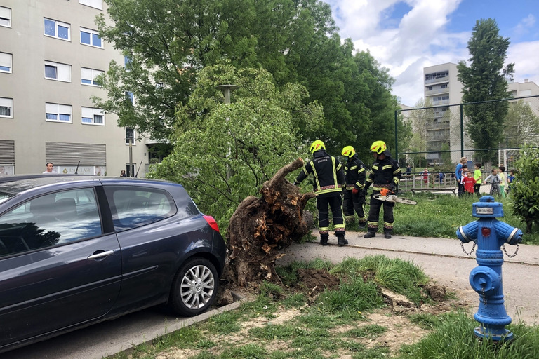 Zamalo Tragedija U Panskom Iz Ista Mira Palo Stablo Net Hr