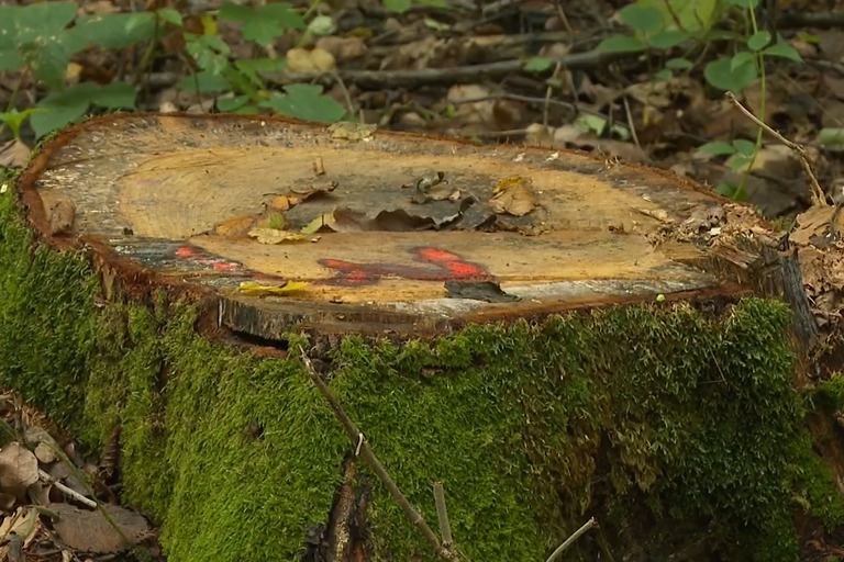 Zbog inflacije na meti kradljivaca našla se sve vrjednija sirovina