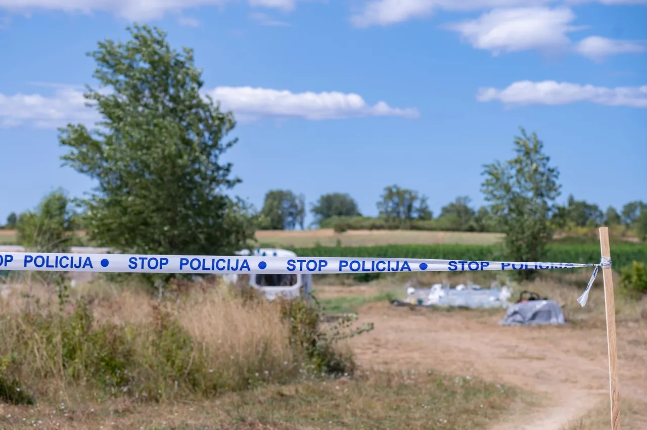 Na području Smilica policija je pronašla preko 7 tisuća stabljika konoplje zasađene među stabljikama industrijske konoplje