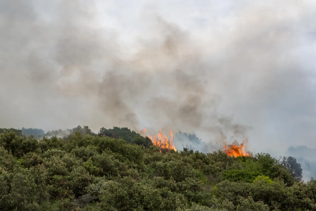 Dubrovnik: Na brdu Lozice izbio požar, na teren izašla 34 vatrogasca