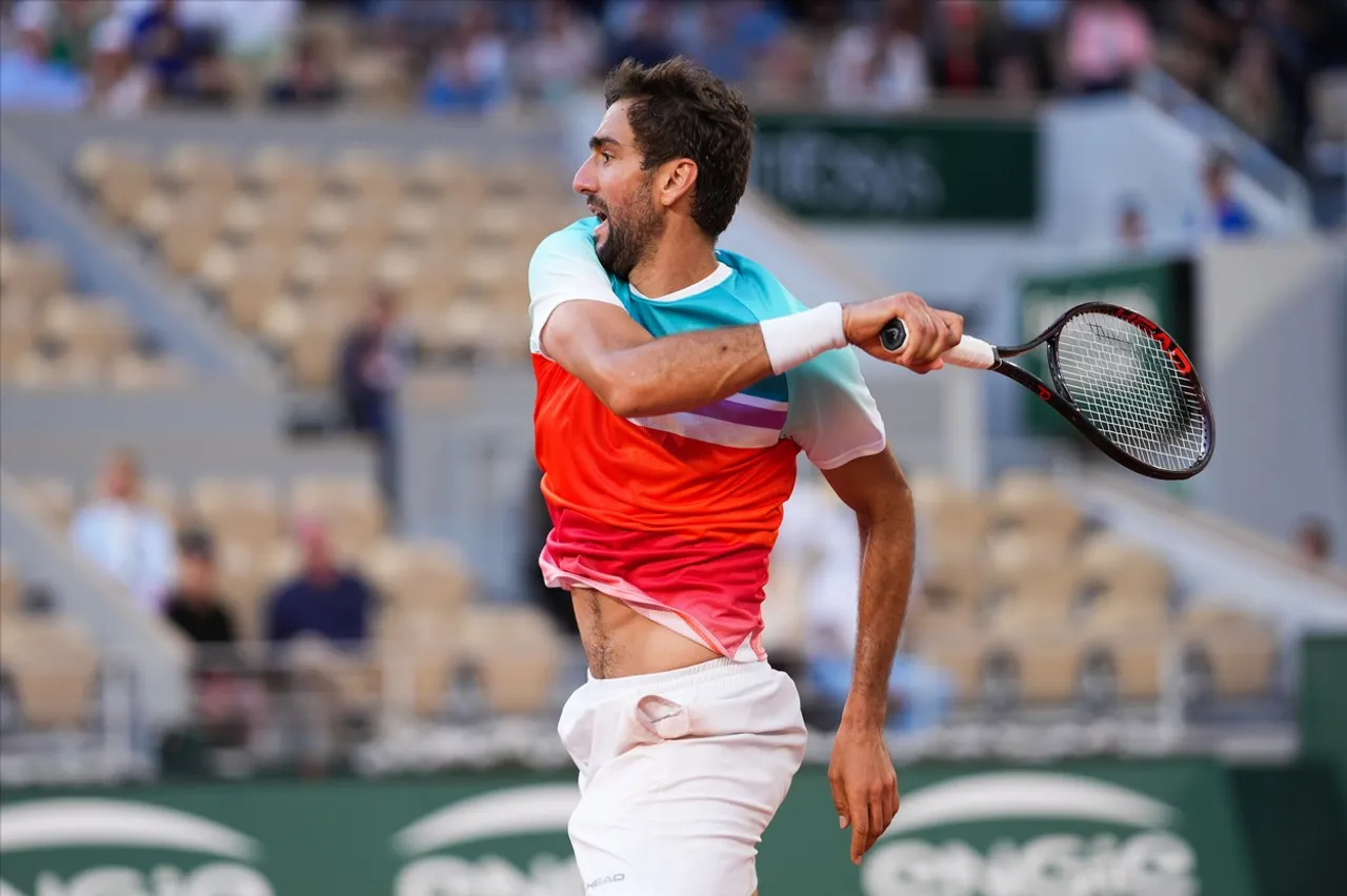 Marin Čilić, Roland Garros