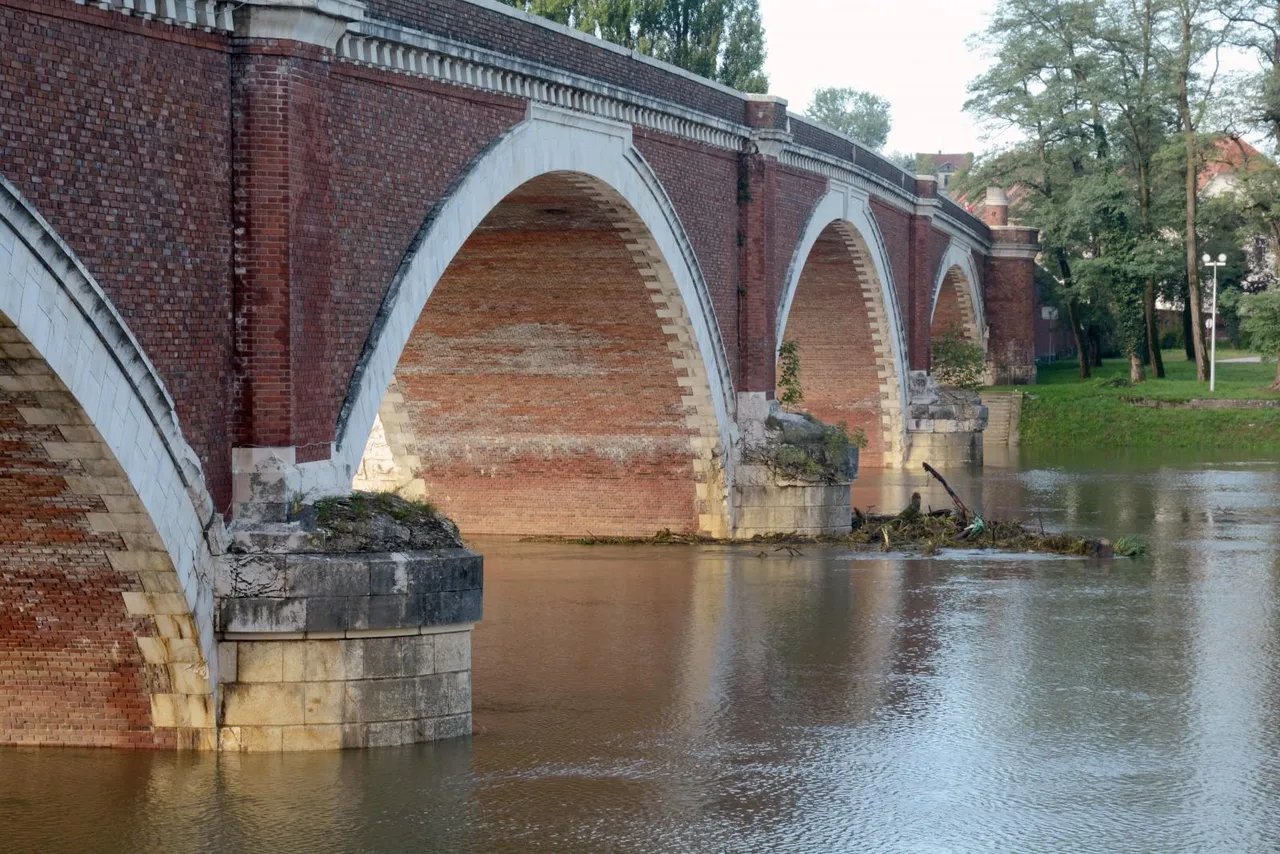 Sisak: Nabujalom Kupom zbog porasta vodostaja plove naplavine granja i drveća