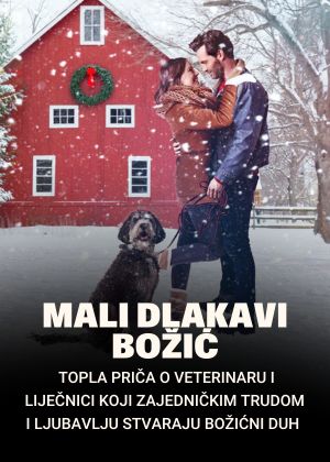 MALI DLAKAVI BOŽIĆ