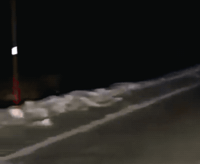 Not_see-06_15_20-GIF-01-wolf-Awesome