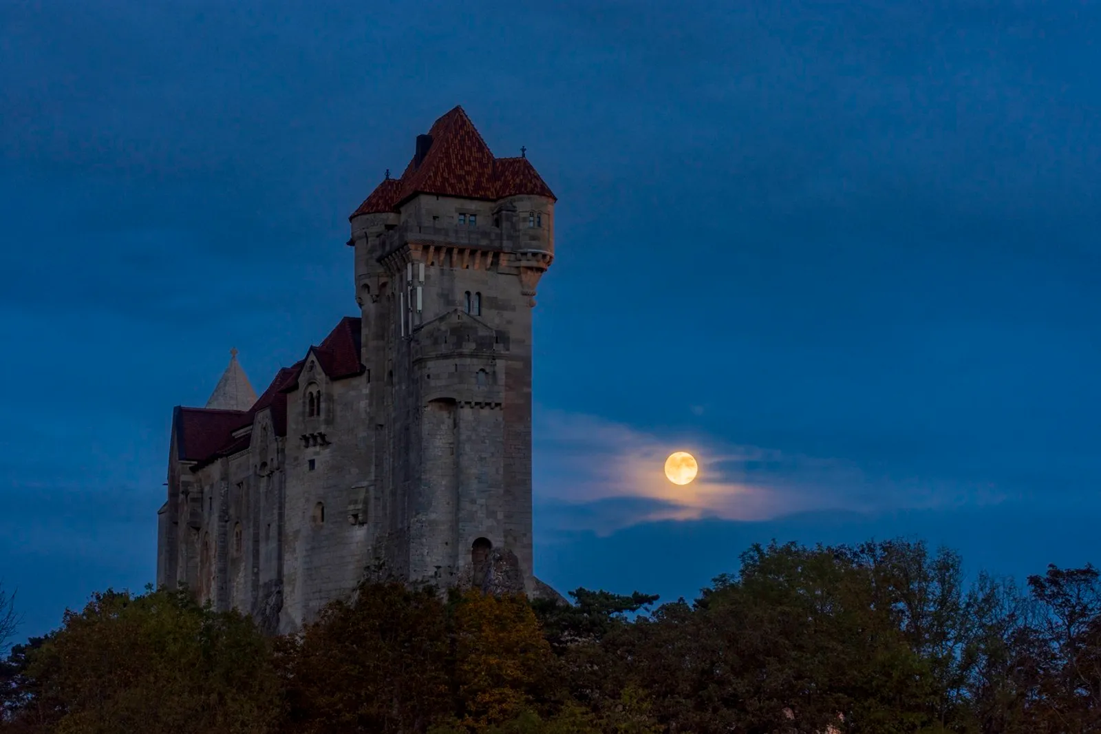 Dvorac Lihtenštajn, Austrija