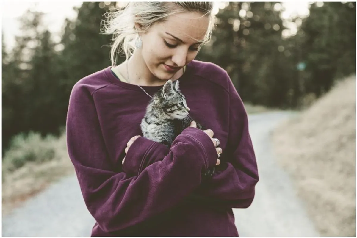 Istraživanje pokazalo: Mačke se povezuju sa svojim vlasnicima kao i bebe s roditeljima