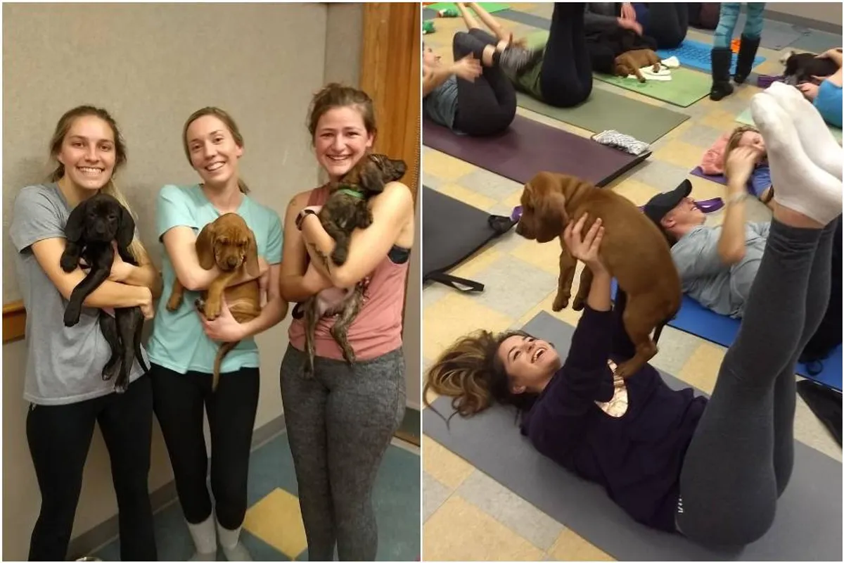 Pilates sa štencima najslađi je trend u svijetu fitnessa koji smo vidjele
