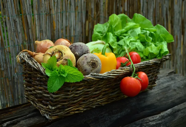 Zdrave namirnice za vrijeme ljeta mogu može podići razinu hidratacije i pružiti različite hranjive tvari.