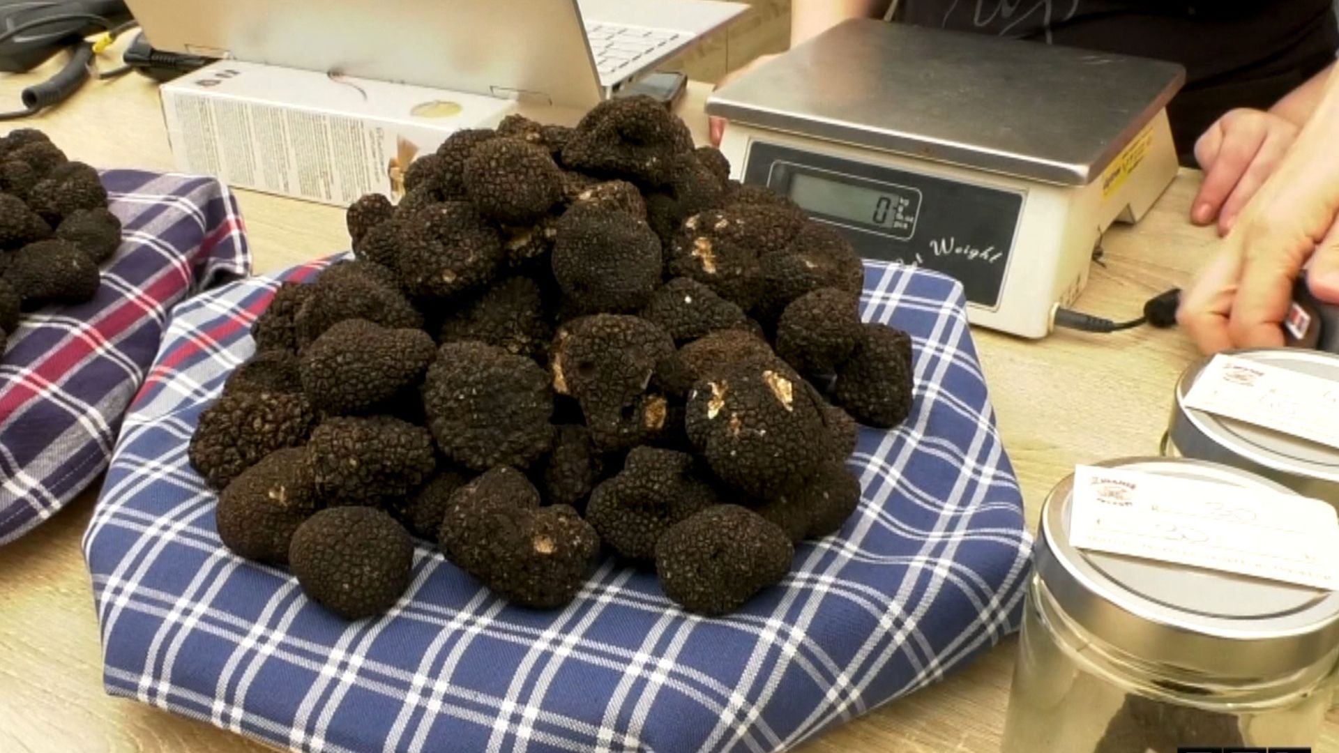Truffle season has started in Istria! A kilogram costs up to 4,200