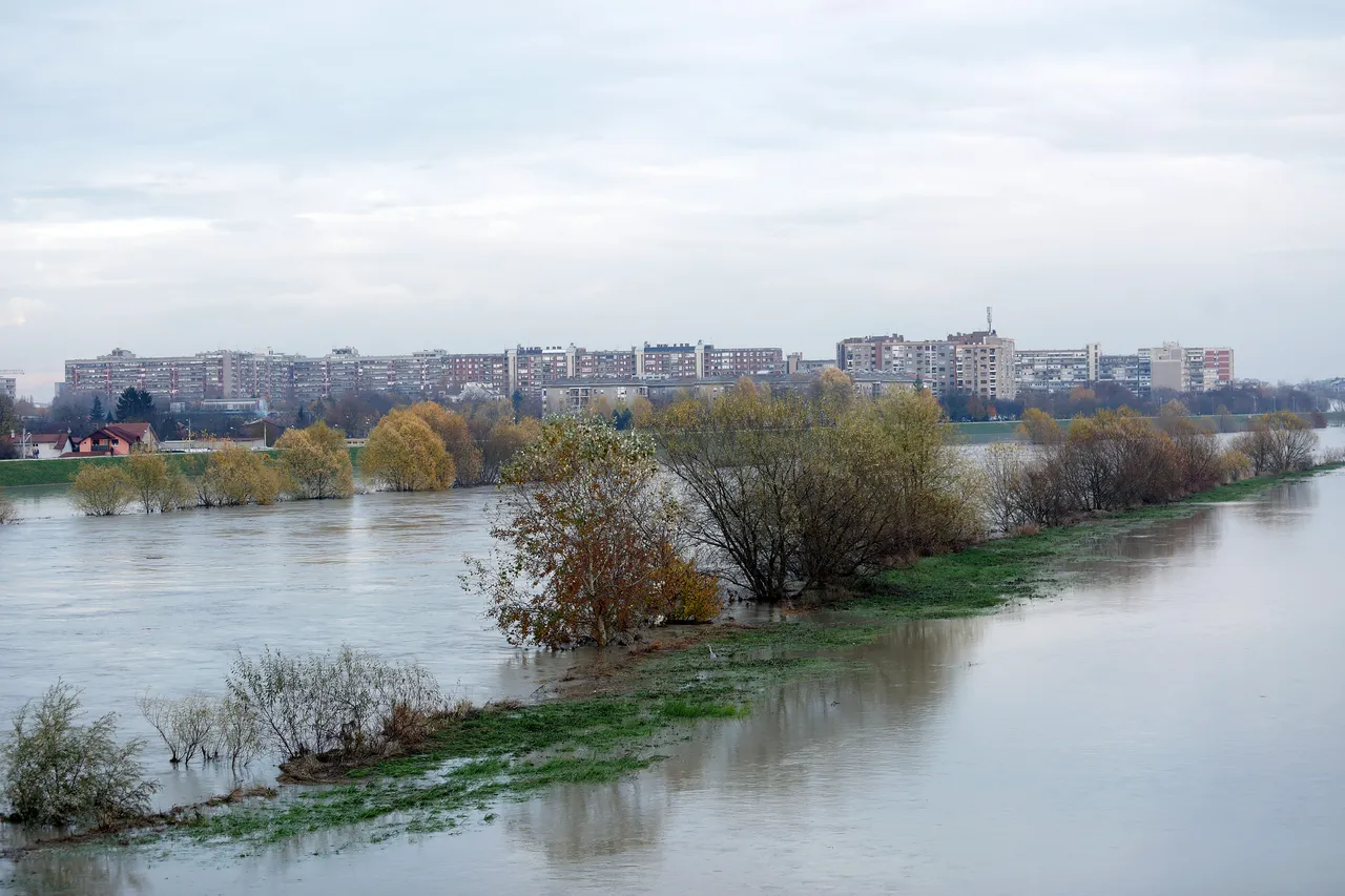 Sava u jednom danu narasla za četiri metra i izlila se iz korita