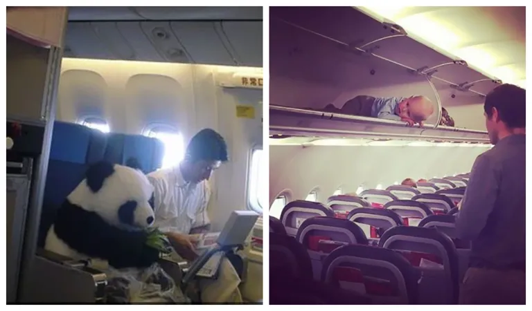 Panda u avionu? Ljudi su slikali čudne prizore u avionima koje su jednostavno morali podjeliti sa drugima