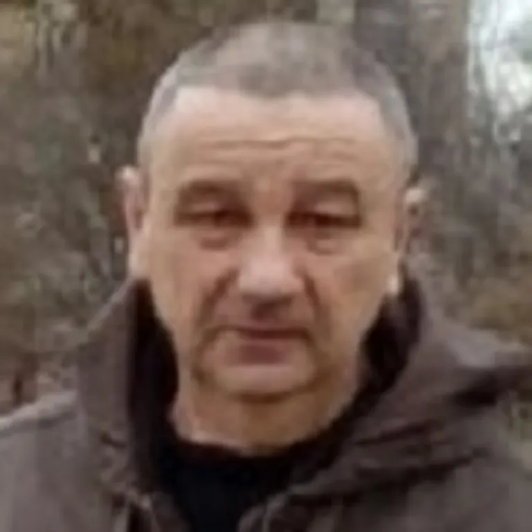 Vladislav Miletić