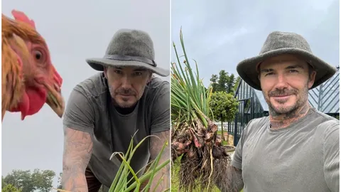 David Beckham sorprende con su faceta de granjero y revoluciona las redes