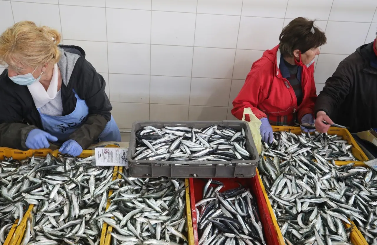 Split: Bogata ponuda ribe na tržnici na Veliki petak
