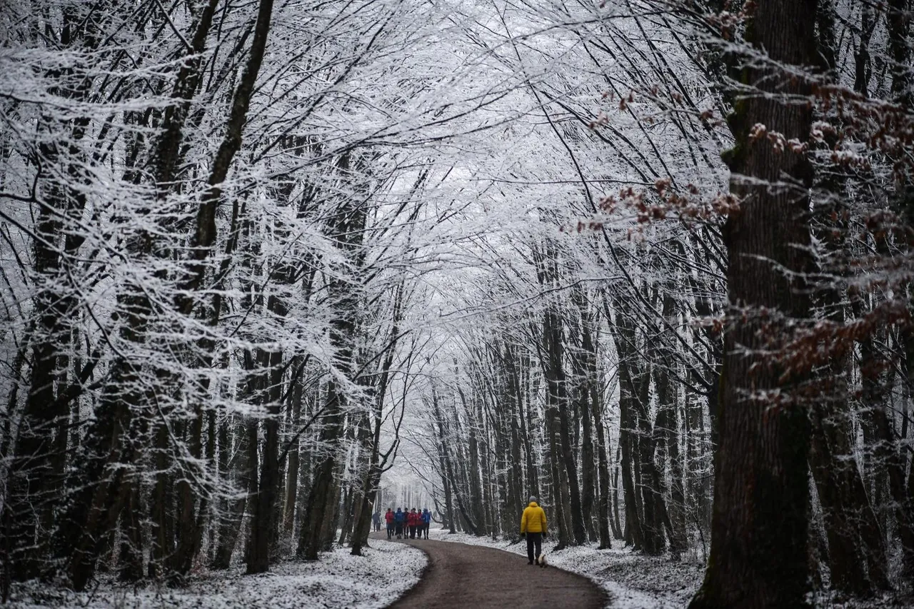 zagreb: Snježna idila u Maksimiru