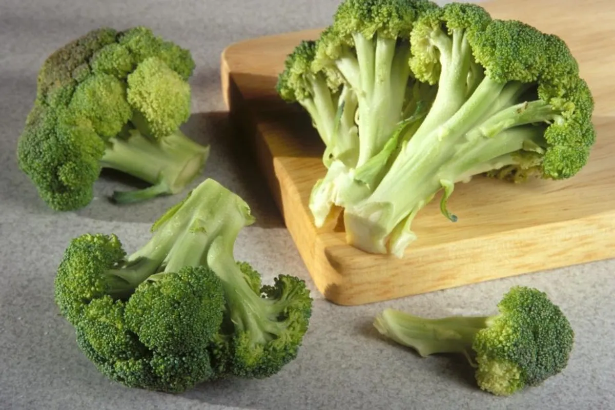 Prednosti brokule: Saznaj zašto je ovo povrće must have namirnica
