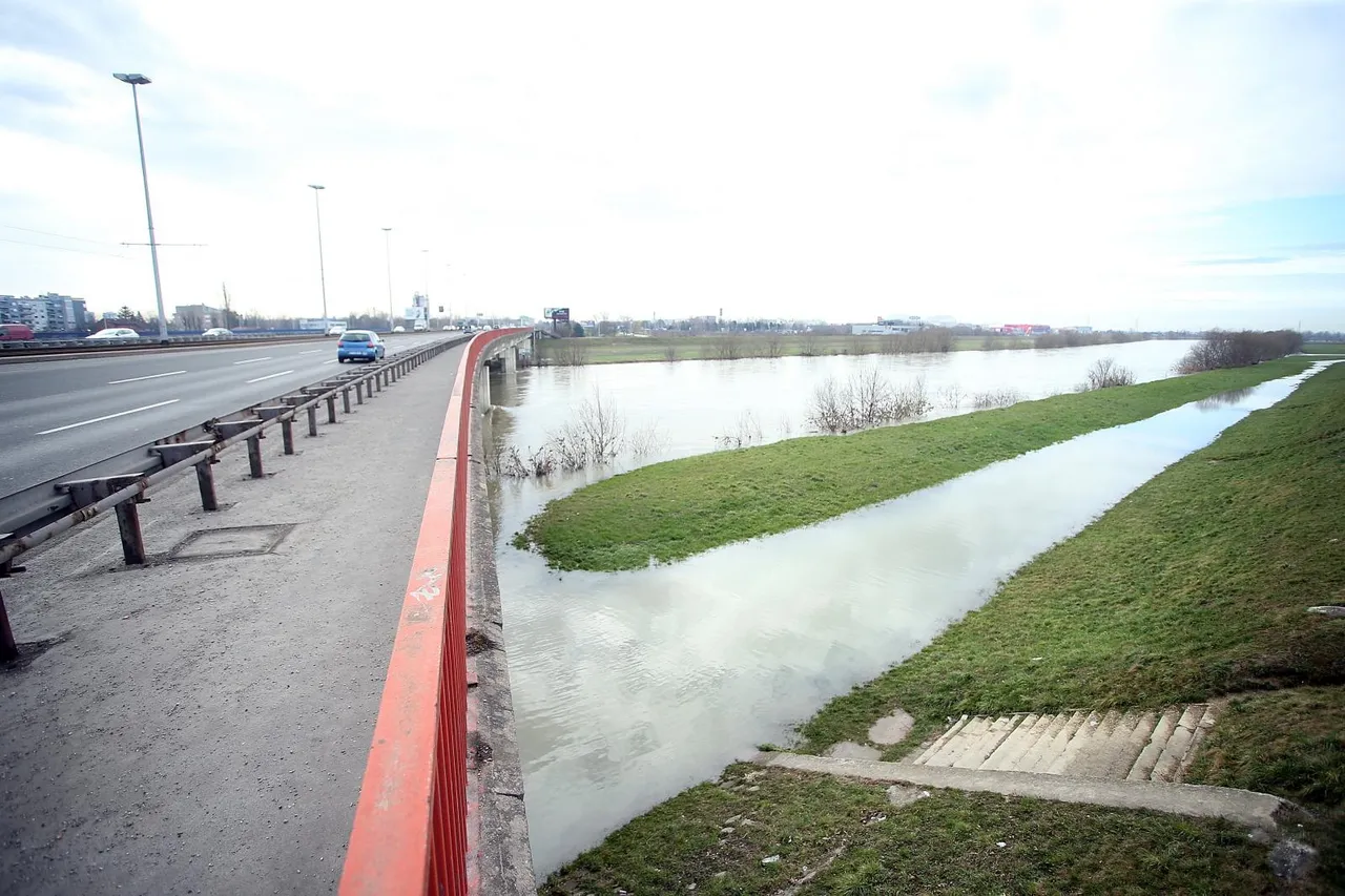 Sava se izlila iz korita zbog naglog zatopljenja: vodostaj u pripremnom stanju