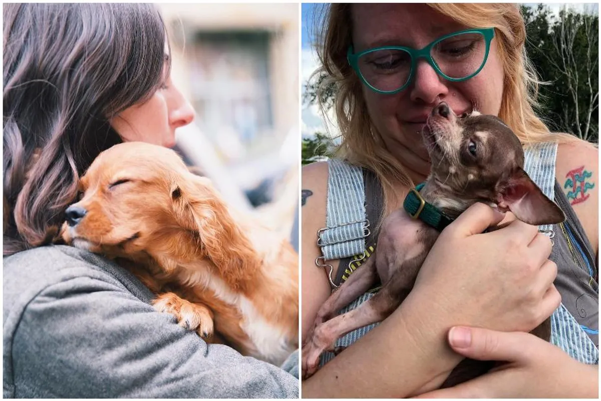 20 dirljivih fotki koje pokazuju koliko je čarobno udomiti psa