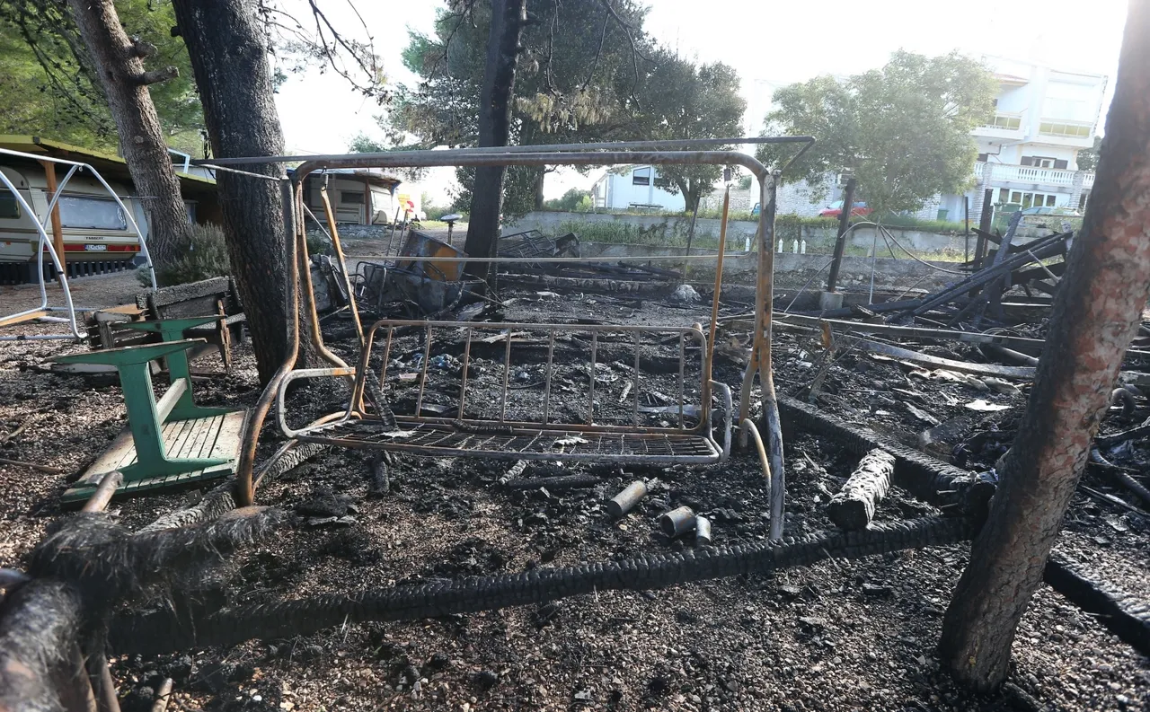Zbog udara groma u auto kampu izgorjela kamp kućica i borovi oko nje