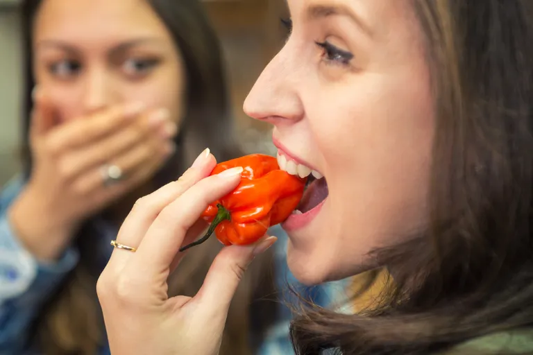 Jalapeno su pune hranjivih tvari i imaju mnoge zdravstvene prednosti. Pročitajte zašto bi trebali jesti jalapeno papričice...