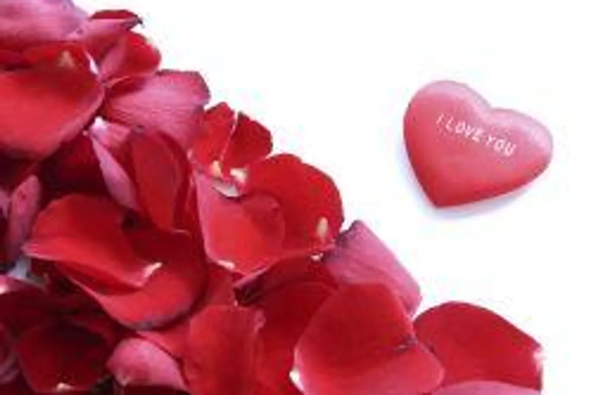 Najbolje ljubavne poruke za valentinovo