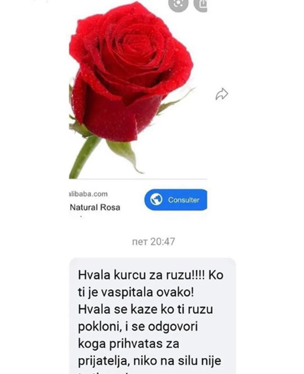 Neugodni galebovi: Pogledajte najgore ulete od kojih će vam doći muka nakon što ih pročitate