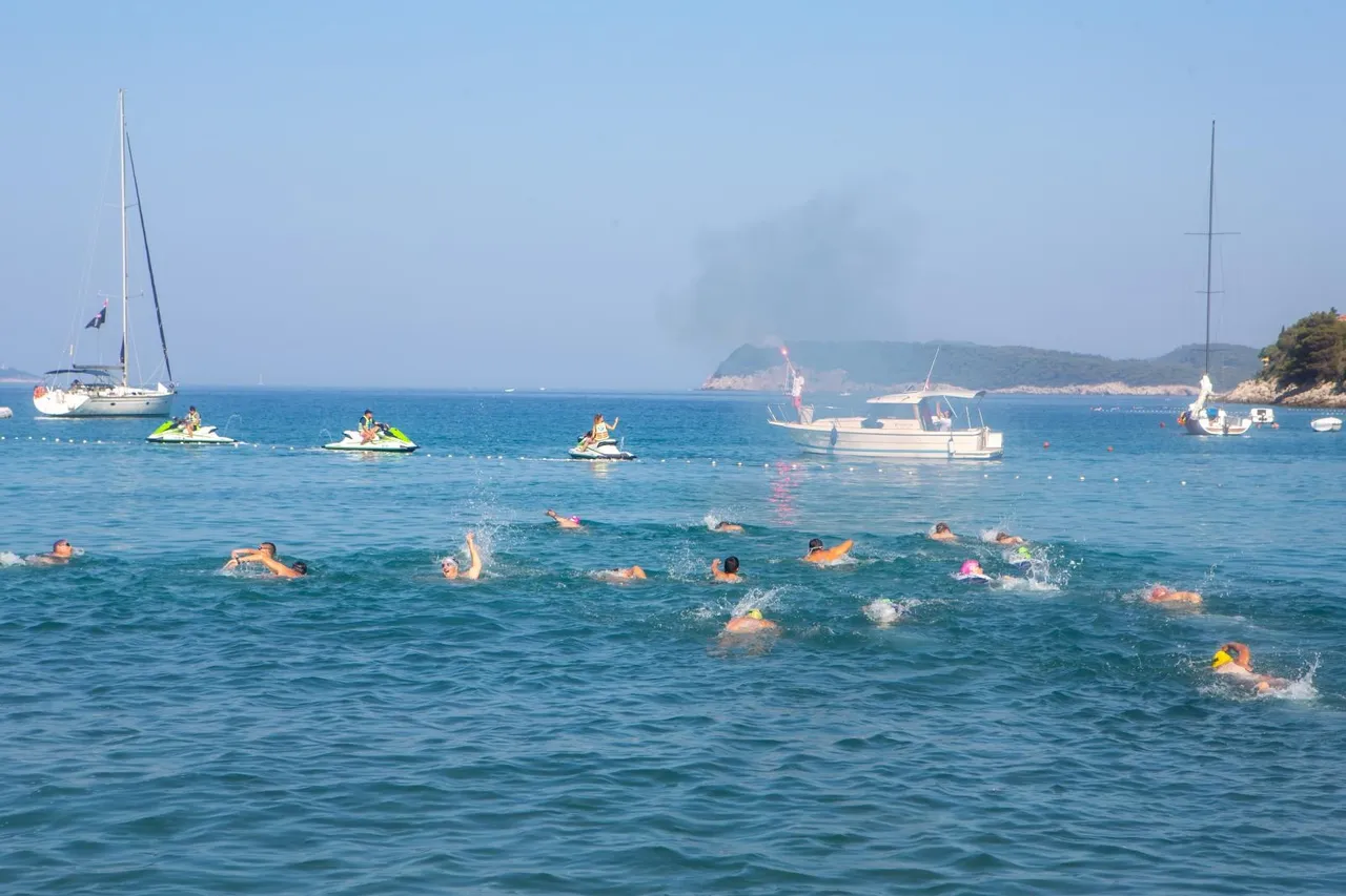 Ribafish i RokOtok
