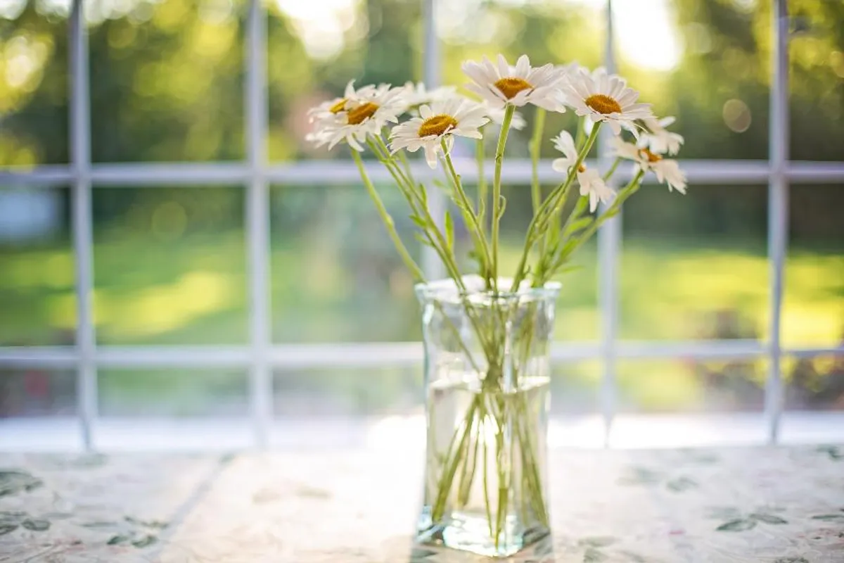 Znanstvenici tvrde da bi cvijeće u vazi moglo pozitivno utjecati na zdravlje, evo i kako
