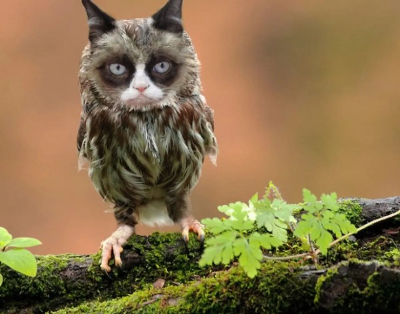 hilarious-Photoshopped-images-photoshop-funny20