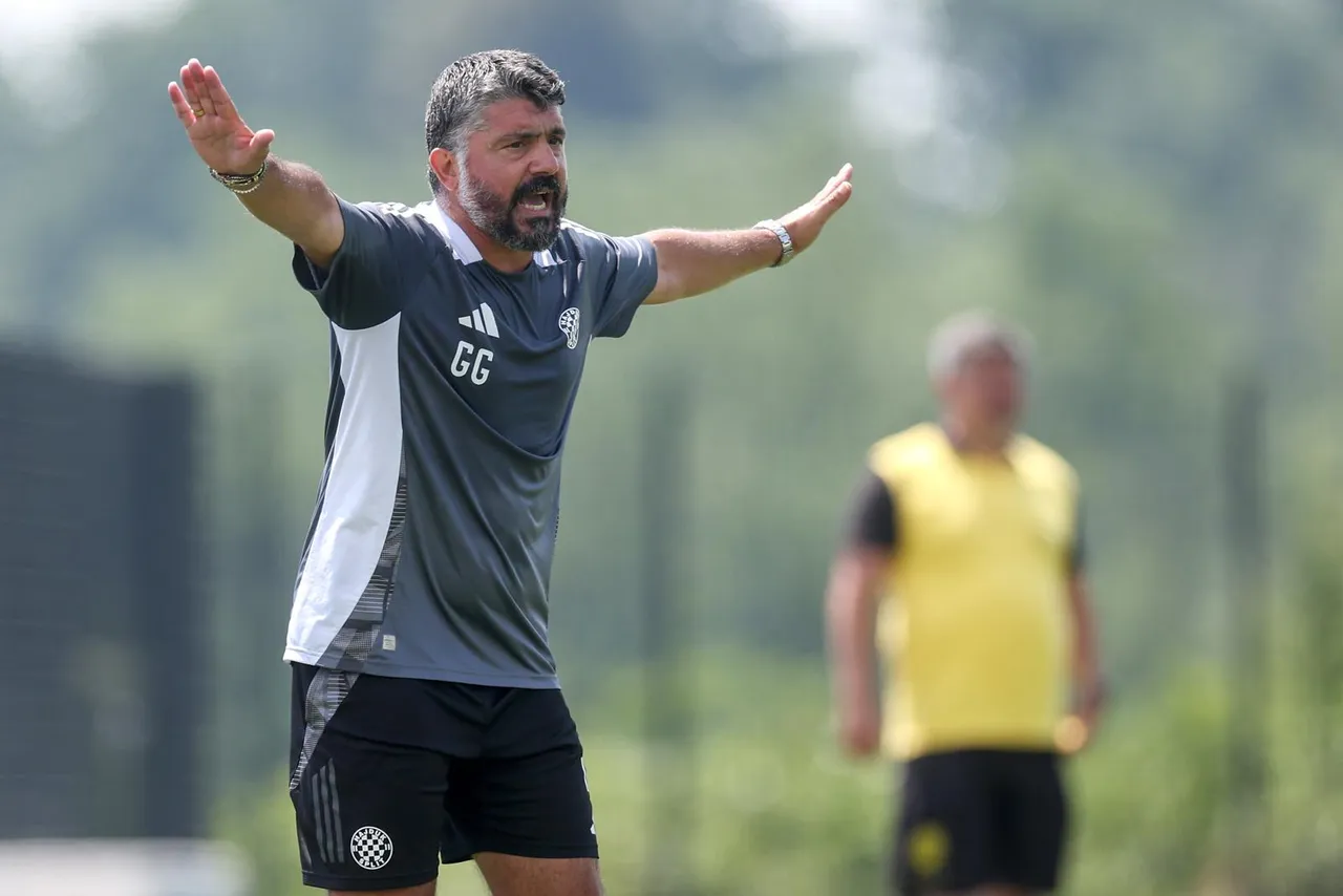 gattuso