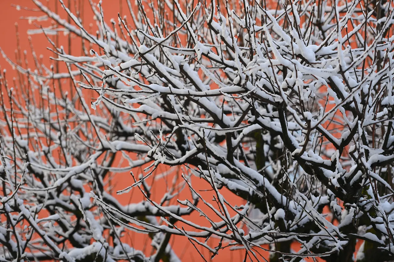 Bijeli prekrivač: Snijeg je diljem zemlje stvorio prekrasne prizore