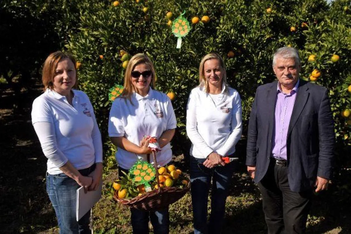 Neretvanske mandarine za Karlovačko Leđero Natur Radler