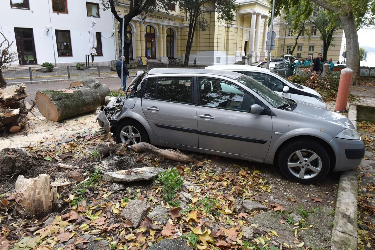 Zadar: Jak vjetar srušio stablo na parkirane automobile