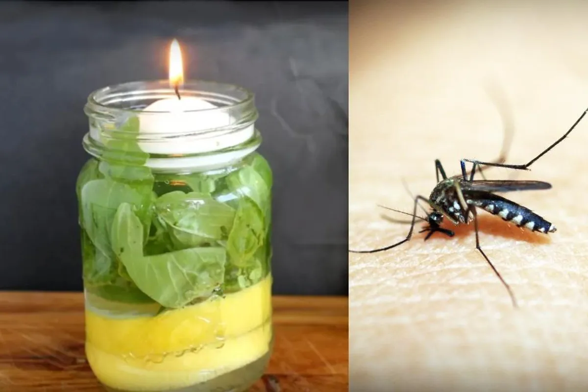 Zbogom dosadnim ugrizima: Napravi sama svijeću protiv komaraca