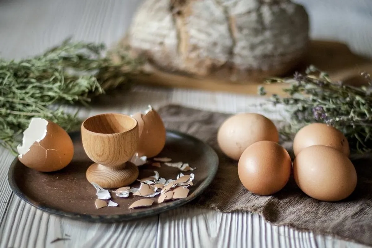 Kako prepoznati domaće jaje?