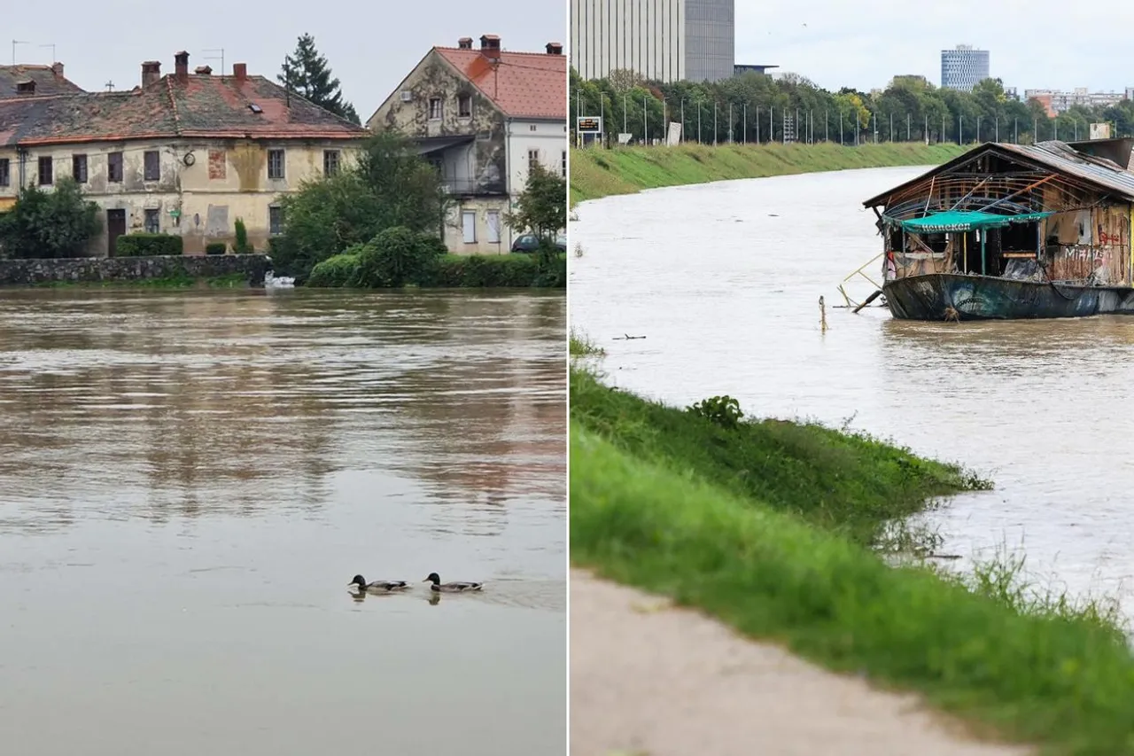 SAVA, KUPA