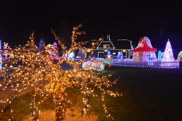 Salajeva Božićna priča zabljesnut će s rekordnih preko dva milijuna lampica, iako su organizaciju pratile nesuglasice