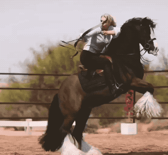 horse-archery-girl-gif-01c