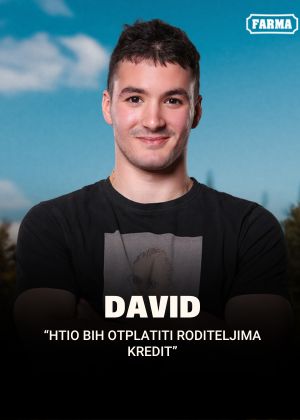 KOKTEL