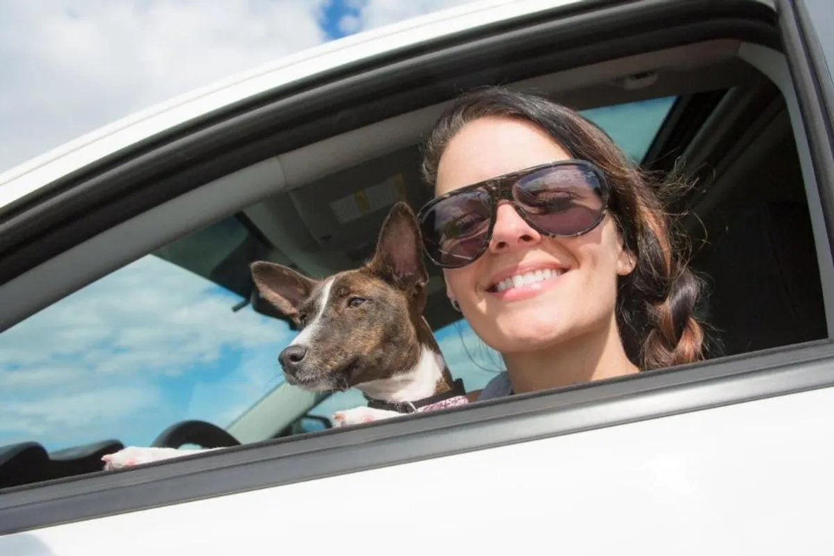 Pas na godišnjem - kako olakšati ljubimcu stres putovanja