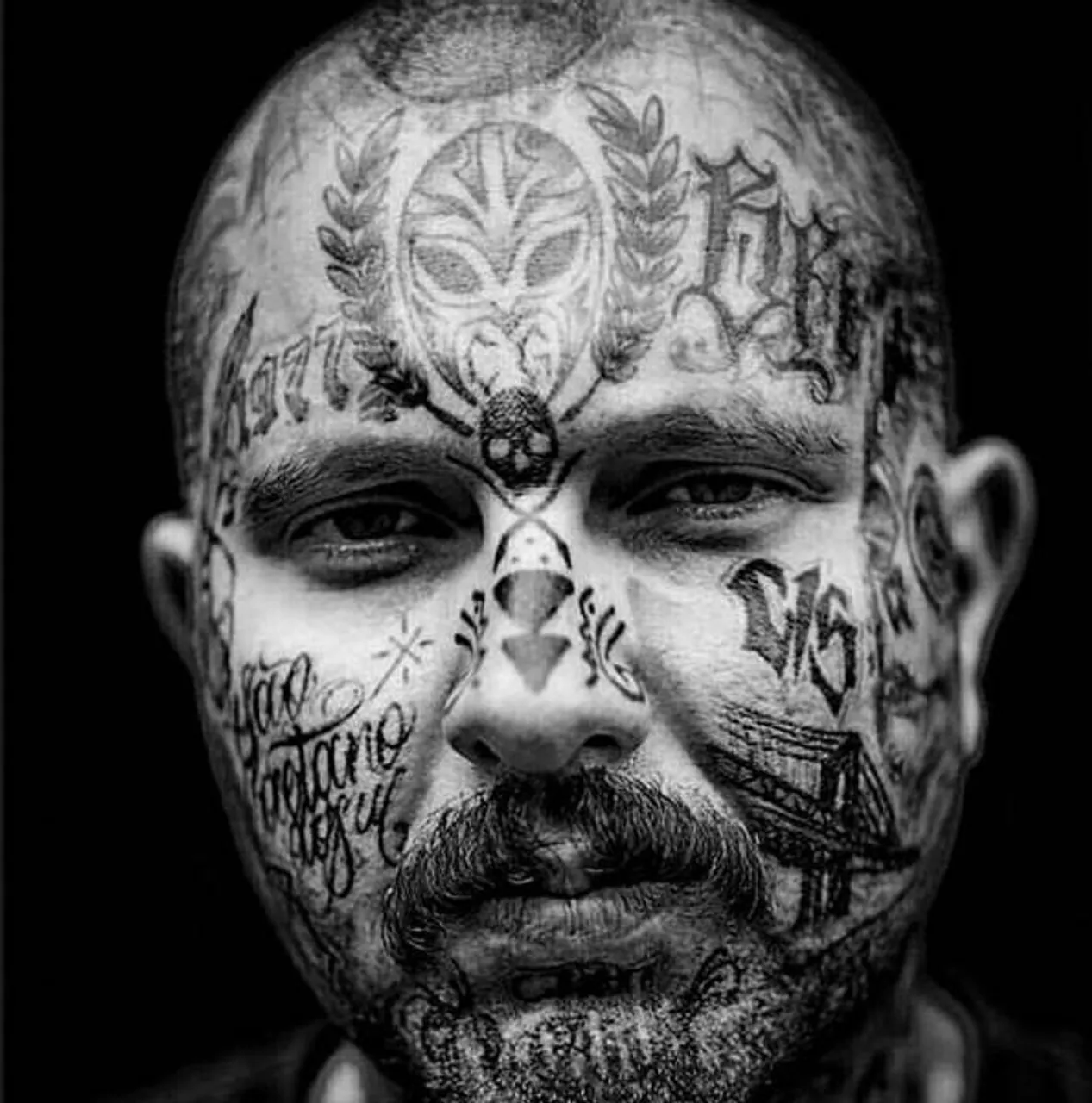 freaks_cant_stop_mutilating_themselves_640_05