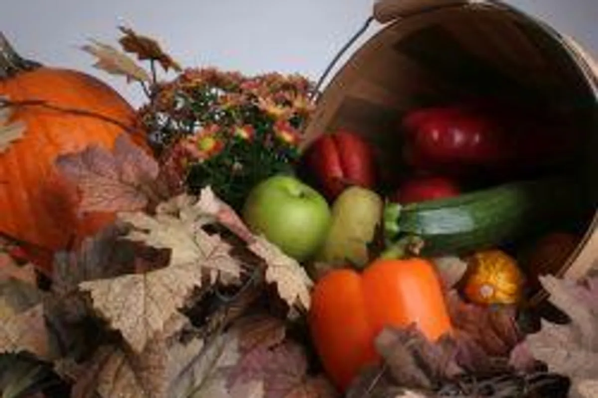 Najzdraviji plodovi jeseni