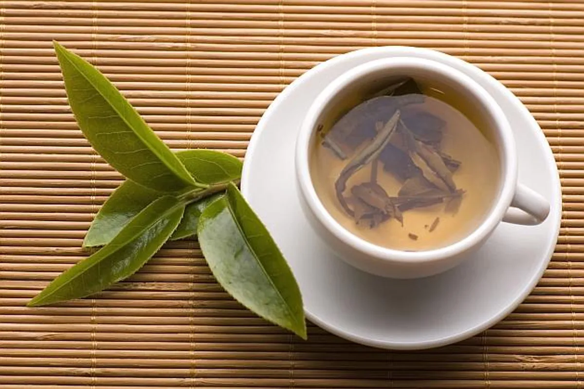Zašto biste trebali piti zeleni čaj na poslu