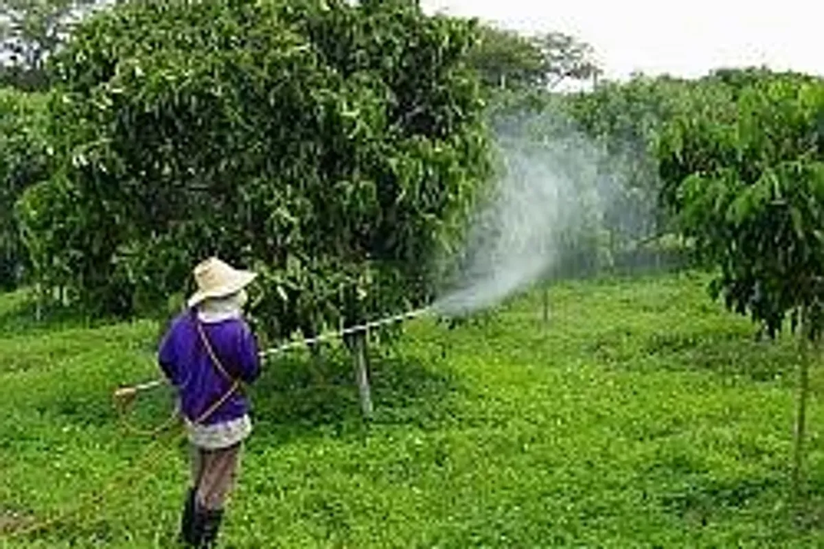 Koliko su pesticidi opasni i gdje se sve skrivaju?