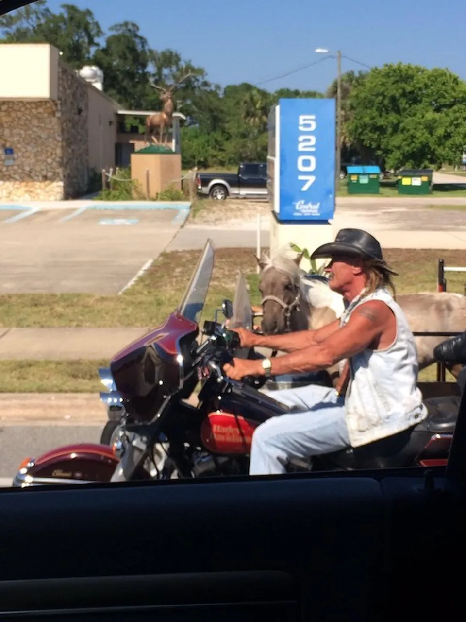 the-crazy-sht-you-see-in-merica-32-photos-11