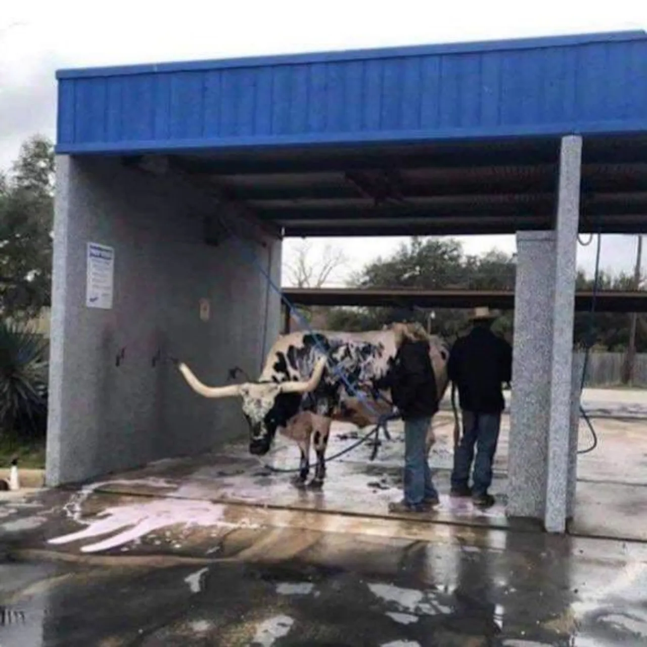 the-crazy-sht-you-see-in-merica-32-photos-14