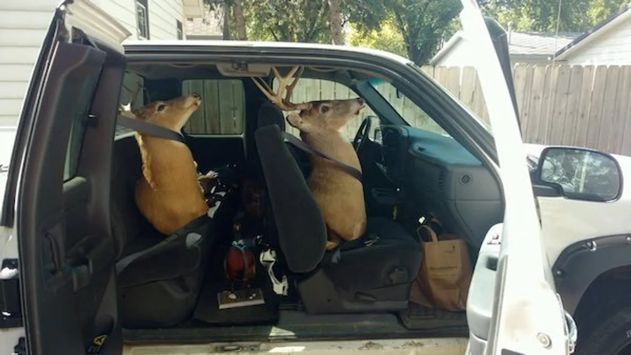 the-crazy-sht-you-see-in-merica-32-photos-17