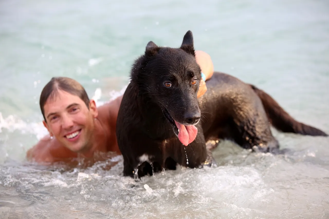 U Crikvenici je održano plivačko natjecanje pasa i njihovih vlasnika